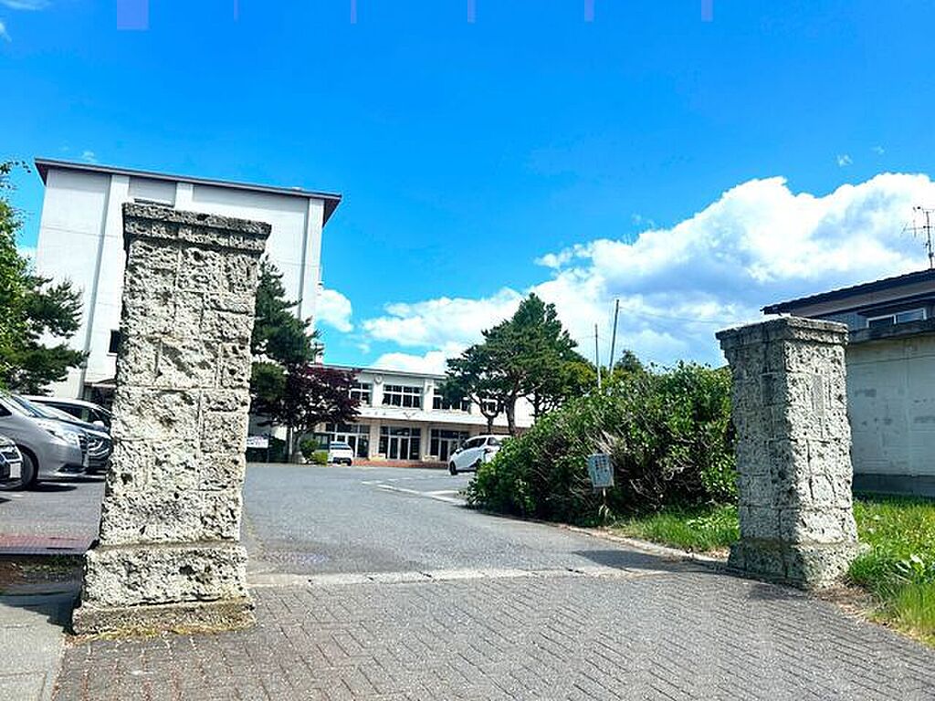 Image 7