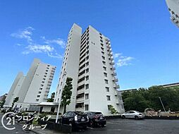 向島ニュータウン2街区B棟 中古マンション
