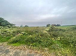 茨城県結城郡八千代町平塚の土地画像