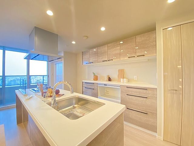 キッチン パークタワー東京フロント 23階/-