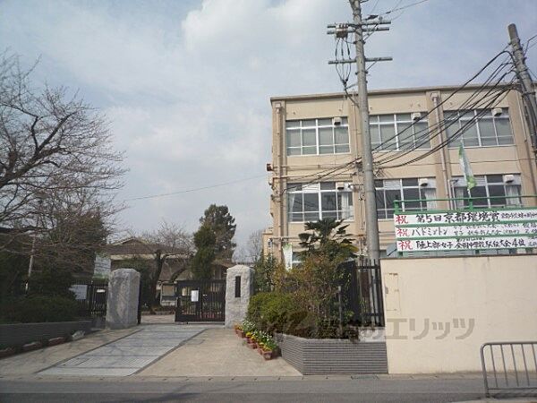 蜂ヶ岡中学校まで800メートル