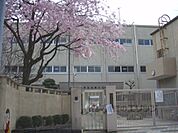 太秦小学校まで600メートル
