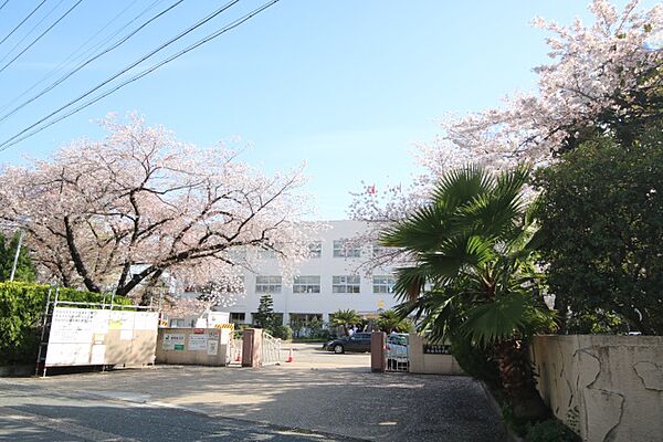 画像8:愛知県立熱田高等学校