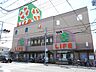 周辺：ライフ和泉大宮店まで徒歩１１分