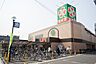 周辺：ライフ住吉店まで徒歩６分