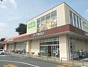 コープみらい コープ上井草店（466m）