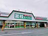 周辺：業務スーパー小山ひととのや店 800m