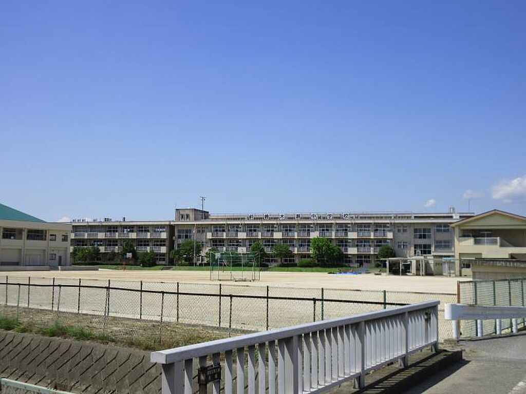 Image 8