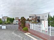 陽南幼稚園 528m