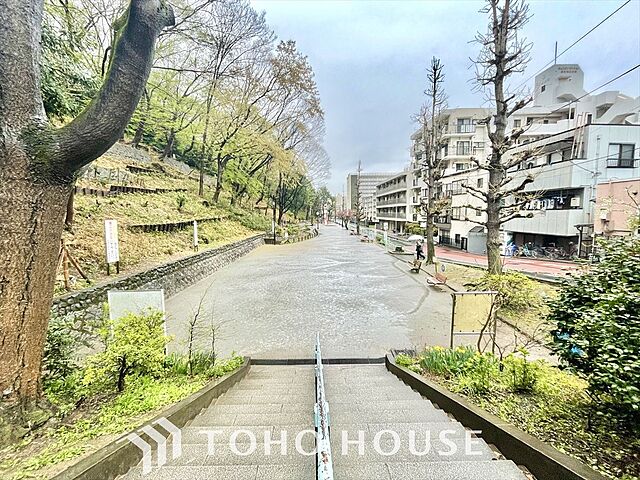 周辺 志村城山公園ハイデンス 5階/-