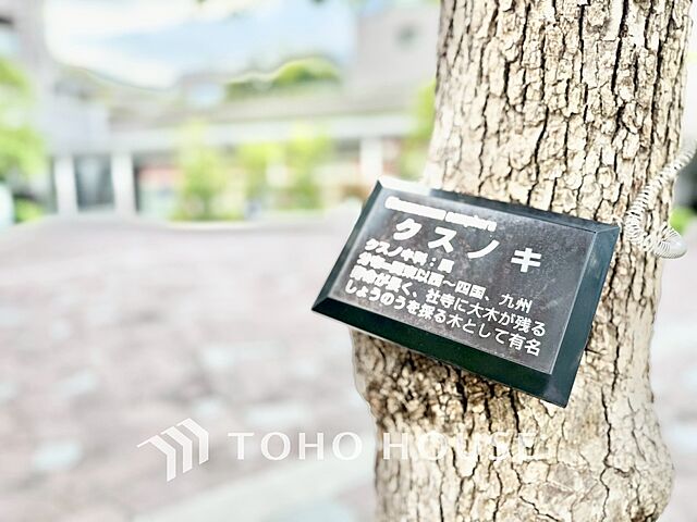 外観 富久クロスコンフォートタワー 15階/-