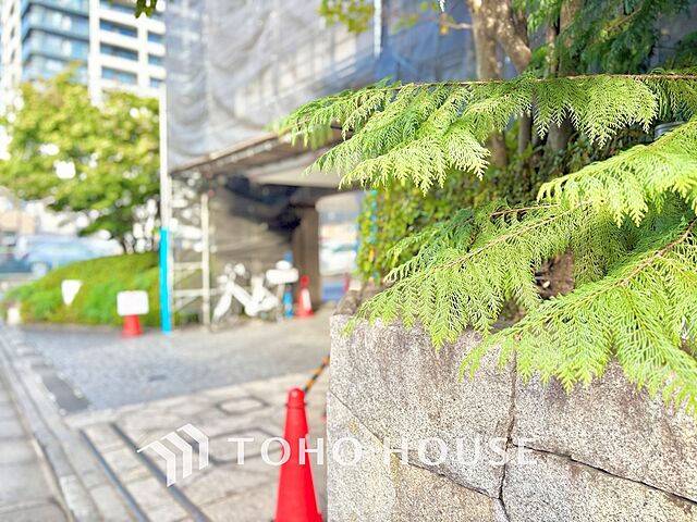 外観 ザ・パークハウス市谷加賀町 3階/-