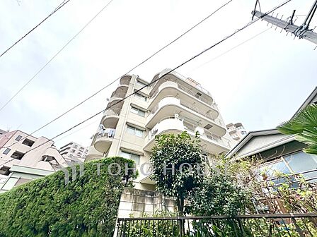 【現地写真】