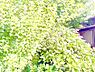 周辺：【感性を解き放つ場所】心地よい風が吹き抜け、緑の香りが鼻をくすぐる。自分らしく、自由な時間が流れる家。移ろう四季をインテリアの一部にしながら、心ゆくまで「住まう喜び」を堪能する。
