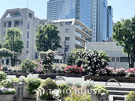 【Wash basin】十分な大きさの洗面台は収納もさる事ながら、身だしなみチェックや歯磨きなど、朝の慌ただしい時間でもホテルライクなスペースで余裕とゆとりを感じて頂けます。