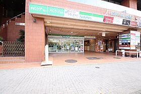 プラシード　Ｙ’ｓ 803 ｜ 愛知県名古屋市中区金山２丁目（賃貸マンション1LDK・8階・45.12㎡） その24