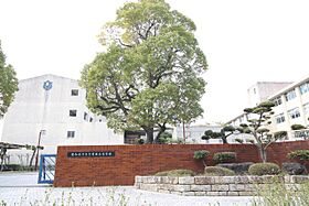 フォレスト笠寺 202 ｜ 愛知県名古屋市南区城下町２丁目（賃貸アパート1LDK・2階・29.12㎡） その16