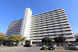 ビレッジハウス光南タワー1号棟 1013