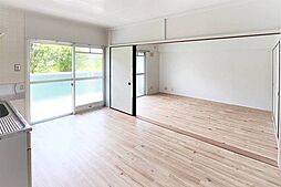 ビレッジハウス江上1号棟 0203