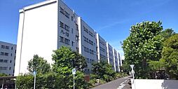 物件画像 多摩川住宅　ハ13棟