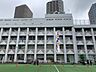 周辺：中央区立佃島小学校 徒歩7分。 520m