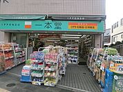 ドラッグストア一本堂下板橋店 174m