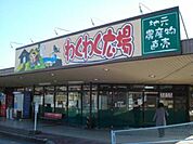 わくわく広場二宮店 徒歩58分。スーパー 4600m