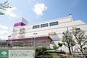 イオン 徒歩53分。ショッピングセンター 4220m