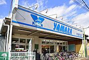 やまか本鵠沼店 徒歩10分。スーパー 740m