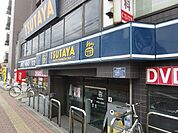 ＴＳＵＴＡＹＡ 311m