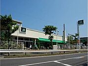 Fuji鵠沼店 583m