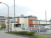 ユーコープ湘南台店 1082m