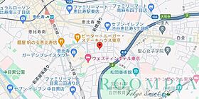 ドリームハイツ 201 ｜ 東京都渋谷区恵比寿３丁目24-8（賃貸アパート1R・2階・20.18㎡） その12