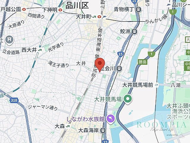 地図