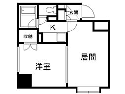 メープル北27条 11階