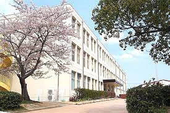 画像27:兵庫教育大学附属小学校