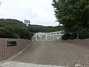 河内小学校