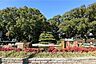 周辺：松葉公園の外観