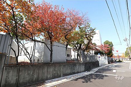 玉川小学校[公立]の外観
