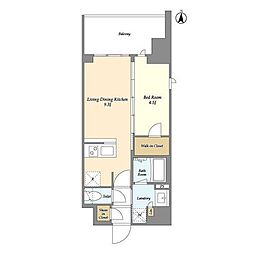 グランカーサ三ノ輪V 6階1LDKの間取り