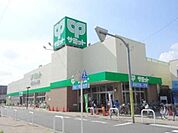 サミットコルモピア 939m
