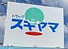 周辺：ドラッグスギヤマ 天白島田店まで1000ｍ　徒歩約13分