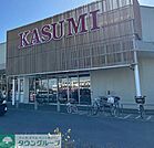 カスミフードスクエアフレスポ桶川坂田店 徒歩9分。 700m