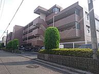埼玉県さいたま市緑区太田窪1丁目：物件画像／株式会社タウンハウジング埼玉　大宮東口店