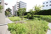 敷地内の植栽