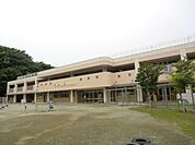 夏見台幼稚園 1600m