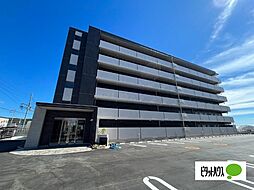 サウスグランパス 405