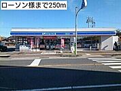 その他「ローソン様まで250m」
