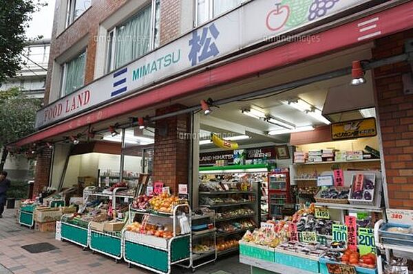 グランドゥール神楽坂 ｜東京都新宿区赤城下町(賃貸アパート1LDK・1階・41.20㎡)の写真 その13