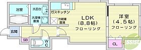 北海道札幌市東区北十一条東4丁目（賃貸マンション1LDK・3階・30.80㎡） その2